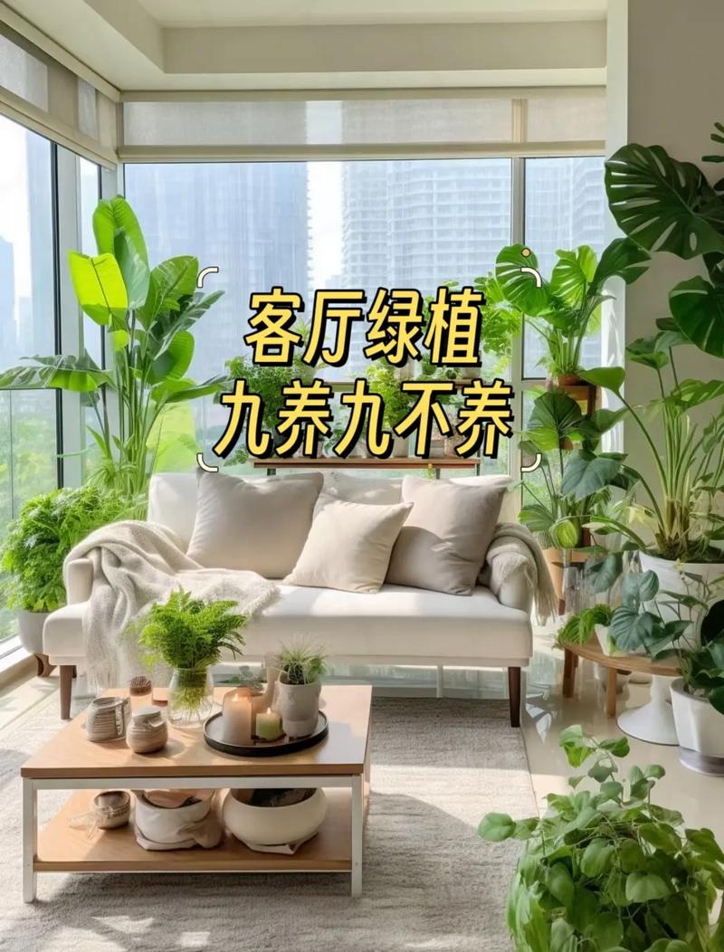 养生室内植物图片_养生室内植物_养生室内植物有哪些